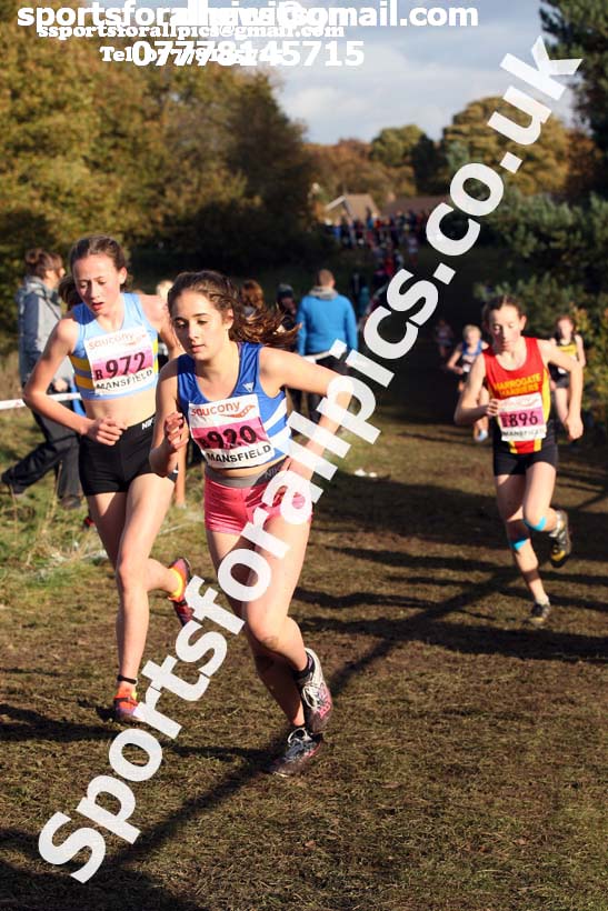 Girls under-15s National Cross Country Relay, Berry Hill Park, Mansfield. Photo:  David T. Hewitson/Sports for All Pics